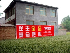 宜城如何让墙体广告展现最大化效果