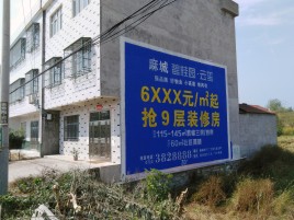 宜城墙体广告质量分析